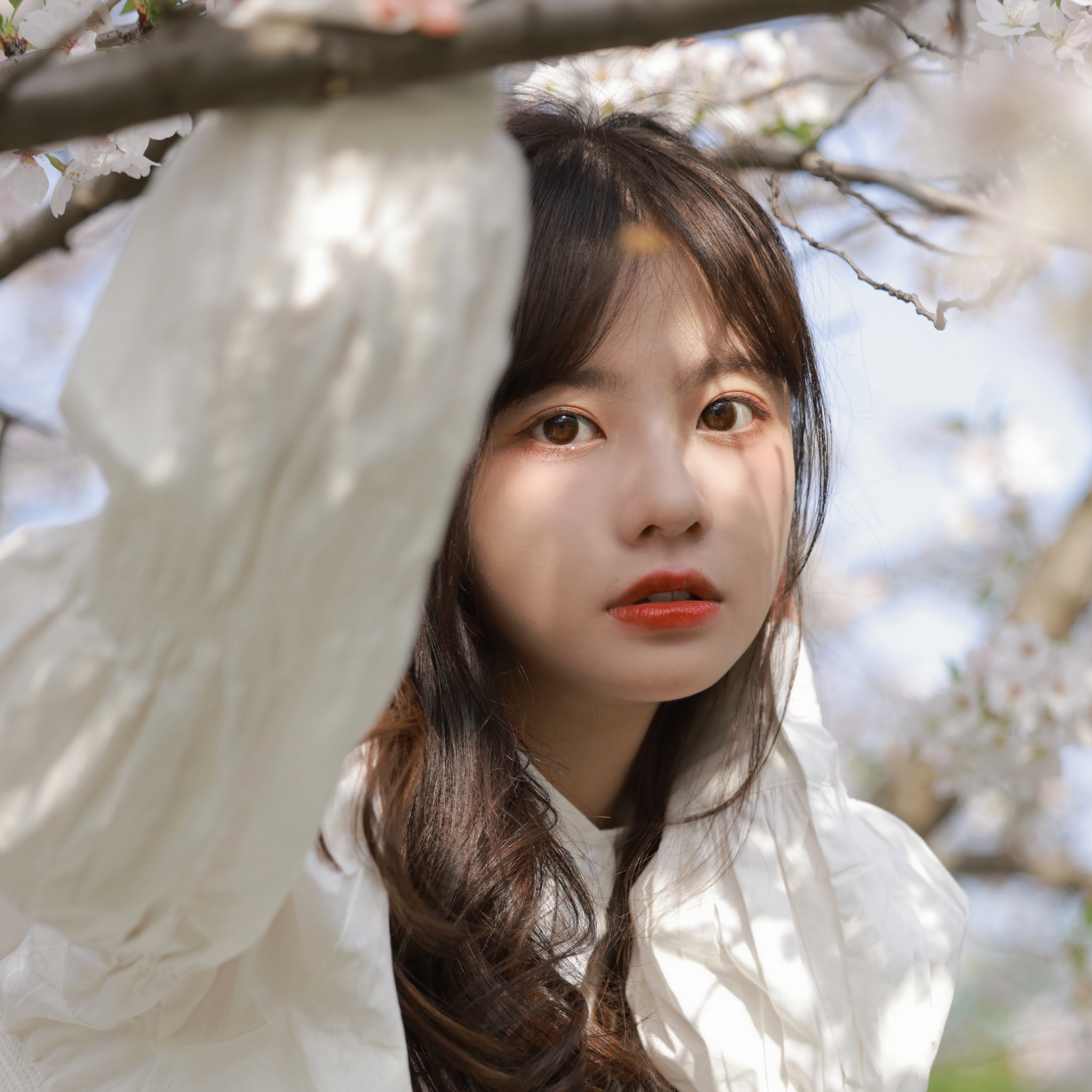 永野芽郁（饰 三条燕） - 无广告纯净版在线观看 - 小程序看电影